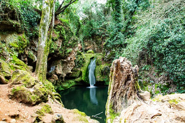 Vackert Vattenfall Skogen — Stockfoto