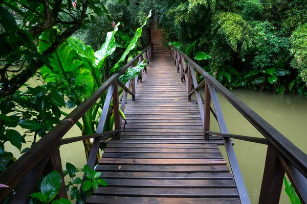 马达加斯加热带雨林小河上的一座小木桥 — 图库照片