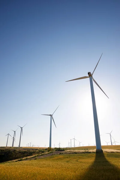 Molinos Viento Para Producción Energía Eléctrica Provincia Zaragoza Aragón España — Foto de Stock