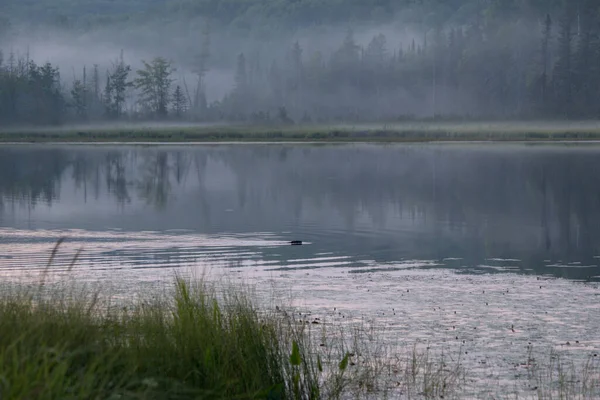 Beau Paysage Avec Lac Arrière Plan — Photo