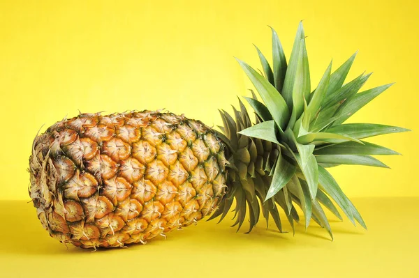Ananas Felgele Achtergrond Verse Ananas Felgele Achtergrond Zomerfruit — Stockfoto