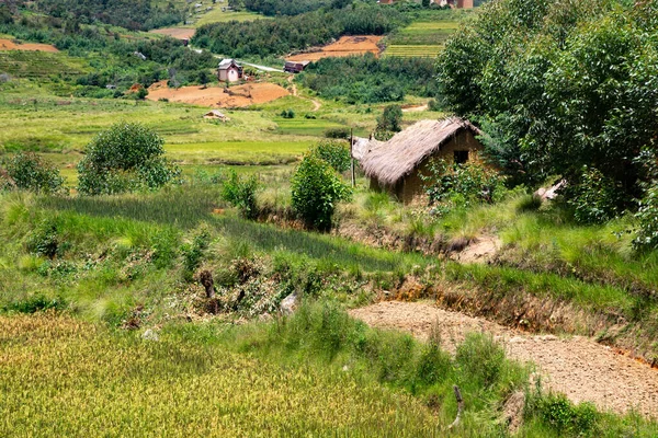 Táj Felvételek Zöld Mezők Tájak Sziget Madagaszkár — Stock Fotó
