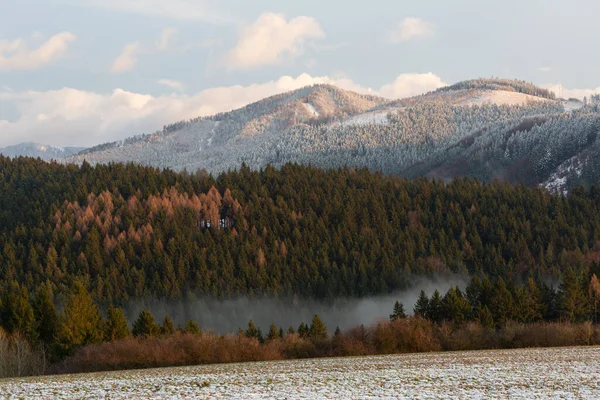 Venkovská Zimní Krajina Regionu Turiec Slovensko — Stock fotografie