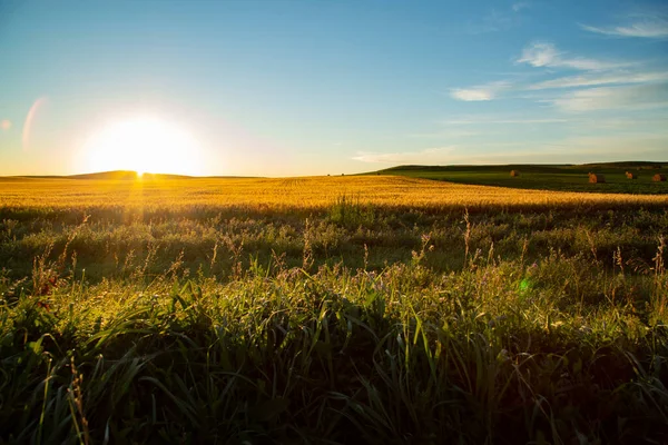 畑の上に美しい夕日 — ストック写真