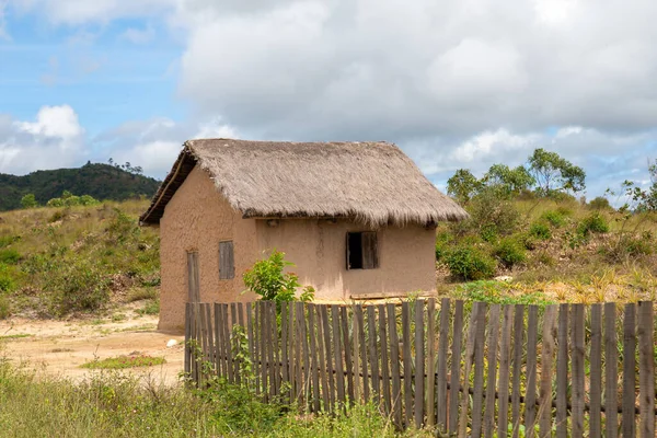 Madagaskar Adasının Sakinlerinden Tipik Bir — Stok fotoğraf