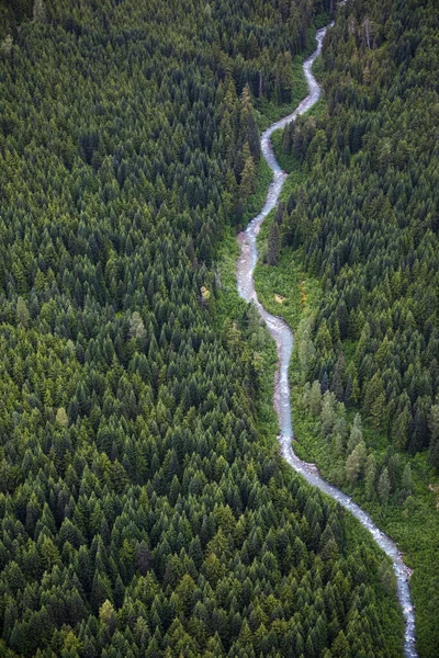 Grüne Wälder Und Flüsse Der Landschaft — Stockfoto
