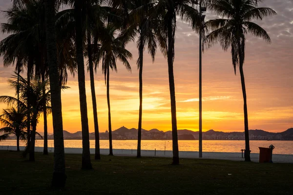 Beautiful view to yellow sun rising on city beach with palm trees, Aterro do Flamengo, Rio de Janeiro, Brazil