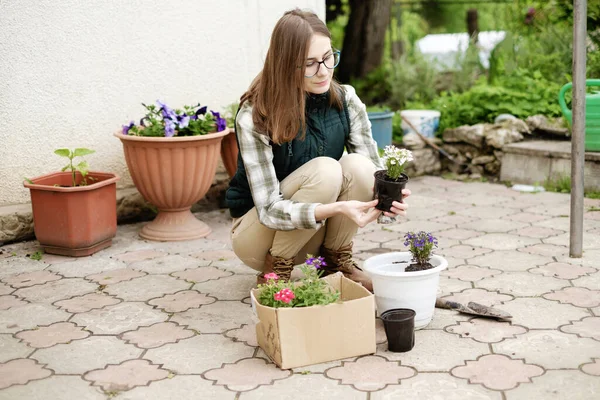 Woman Transplants Flowers Flowerpots — стоковое фото