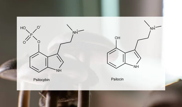 Psilosibin Psilosinin Insanların Psikolojik Fiziksel Sağlığı Üzerindeki Tıbbi Etkileri Psilosibin — Stok fotoğraf