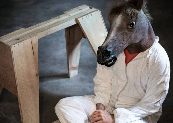 おもちゃの馬の横にある作業馬の下に白いタイベックスーツと馬のマスクを身に着けている大人がフラットバック — ストック写真