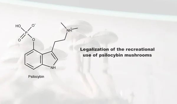 Legalization of the recreational use of psilocybin mushrooms, psilocybin and its effect on the human body