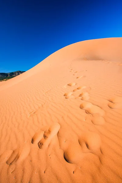 Піщані Дюни Пустелі Фоні Природи — стокове фото