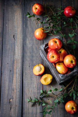 Güzel sulu nektarinler. Olgun çiftlik hasadı. Meyve kokulu..