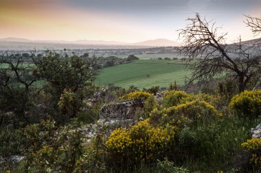 Doğanın güzel manzarası
