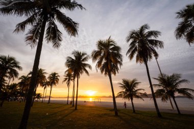 Palmiye ağaçları, Aterro do Flamengo, Rio de Janeiro, Brezilya plajında doğan sarı güneşe güzel bir manzara