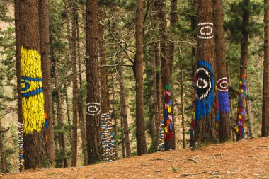 Kortezubi 'deki Oma Ormanı (Bask ülkesi, İspanya). Doğadaki ressam Agustn Ibarrola 'nın sanatsal çalışmaları.. 