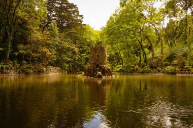 Ağaçlı ve yeşil yapraklı güzel bir manzara.