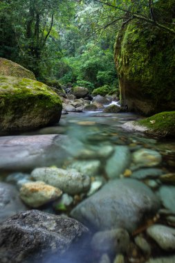Vahşi yeşil arazi üzerinde mavi kristal berrak su havuzu olan güzel Atlantik yağmur ormanı nehri, Serrinha do Alambari, Serra da Mantiqueira, Rio de Janeiro, Brezilya