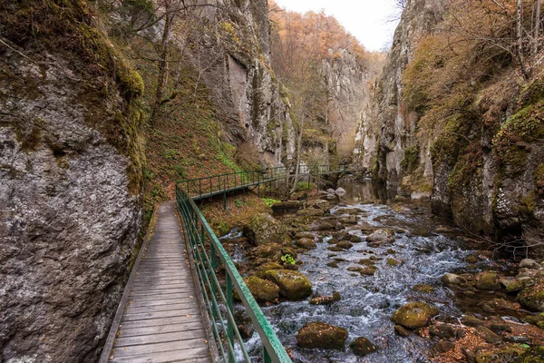 Pont Pour Les Randonneurs Dans Gorge Rivière Devinska Bulgarie Automne — Photo