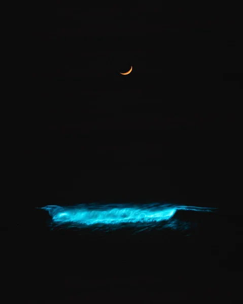 Ondas Nocturnas Bioluminiscentes San Diego California Black Beach — Foto de Stock