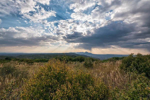 Bela Paisagem Com Árvores Uma Montanha Fundo Natureza — Fotografia de Stock