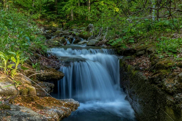 Córrego Montanha Que Flui Através Uma Paisagem Uma Floresta Densa — Fotografia de Stock