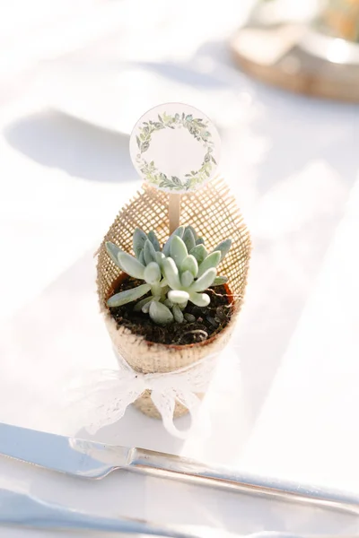 Mesa Pascua Decorada Con Una Flor Blanca Azul — Foto de Stock