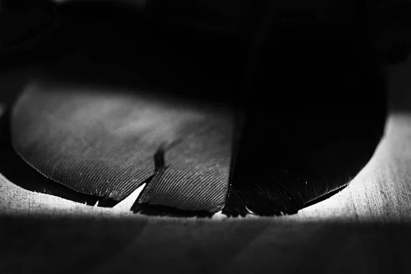 Bir Vinil Oynatıcının Siyah Beyaz Fotoğrafı — Stok fotoğraf