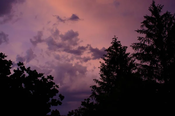 Cielo Nuvoloso Colorato Con Ombre Sugli Alberi Durante Tramonto — Foto Stock