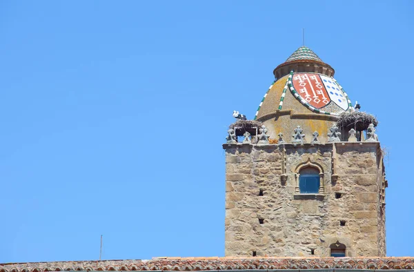Alfilerova Věž Gotická Zvonice Století Zdobená Prosklenými Střešními Taškami Oblíbeným — Stock fotografie