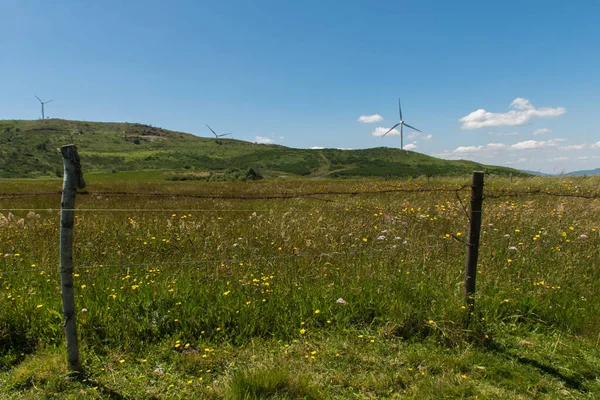 Windräder Den Bergen — Stockfoto