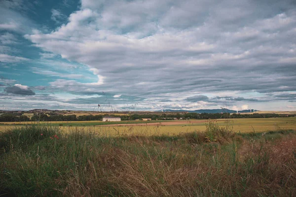 Красивий Краєвид Полем Зеленої Трави Хмарним Небом — стокове фото