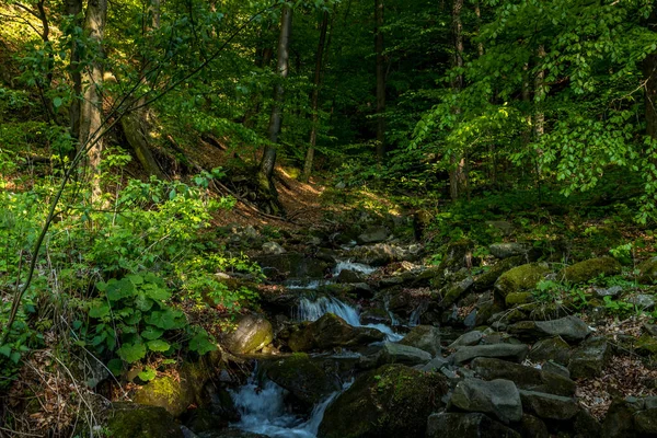 Córrego Montanha Que Flui Através Uma Paisagem Uma Floresta Densa — Fotografia de Stock
