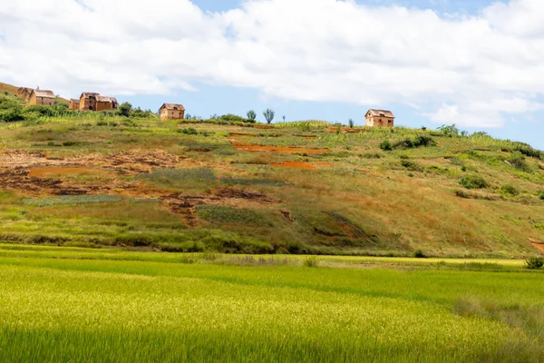 Paesaggio Campi Verdi Paesaggi Sull Isola Del Madagascar — Foto Stock