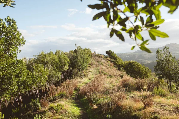 Beautiful View Nature — Stock Photo, Image