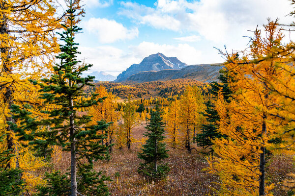 mountain landscape  with a beautiful sky.   Travel