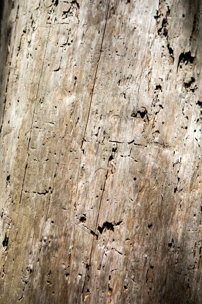 Старий Фон Текстури Дерева — стокове фото