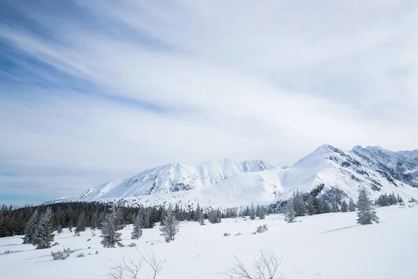 Pohled Vrchol Hor Oblasti Zakopane Polsku Pokryté Čerstvým Sněhem Den — Stock fotografie