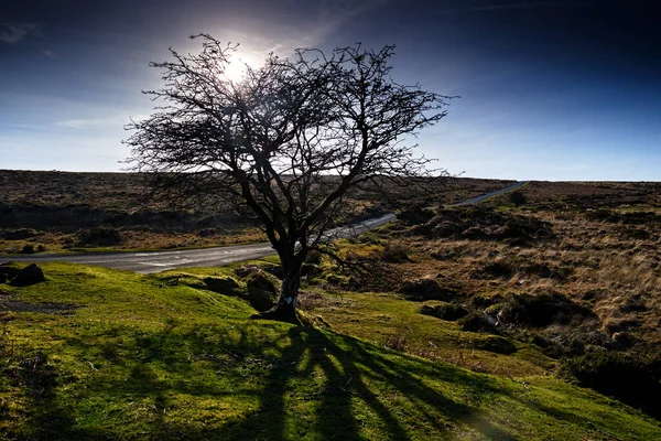 Bella Vista Sulla Natura — Foto Stock