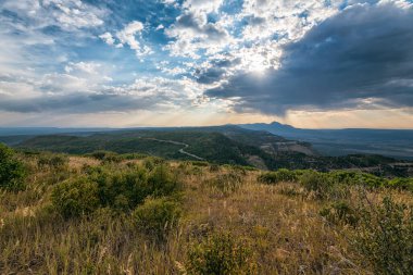 Ağaçlı güzel bir manzara ve doğa arka planında bir dağ.