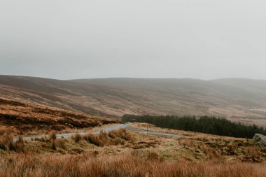 Arkasında bir dağ olan güzel bir manzara.