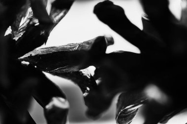 Dövmeli genç bir adamın siyah beyaz fotoğrafı.