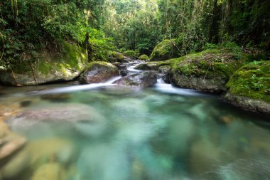 Güzel kristal berrak nehir, yeşil yağmur ormanı manzarasında mavi su, Rio de Janeiro dağlarında Serrinha Ekolojik Rezervi, Brezilya
