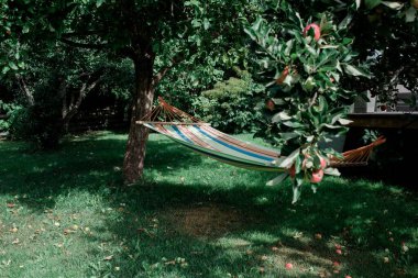 Parkın güzel manzarası