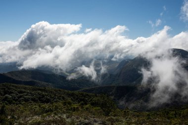 Brezilya Rio de Janeiro yakınlarındaki bulutların altındaki yeşil yağmur ormanlarının güzel manzarası