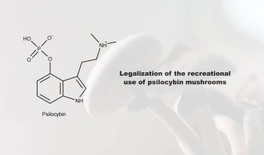 Psilosibin mantarlarının eğlence amaçlı kullanımının yasallaştırılması, psilosibin ve insan vücudu üzerindeki etkisi