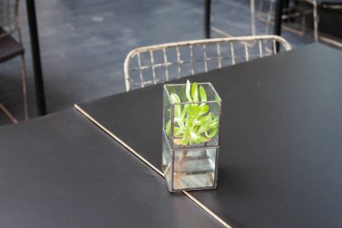 Kahve dükkanında dekore edilmiş element, stok fotoğrafı