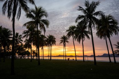 Palmiye ağaçları, Aterro do Flamengo, Rio de Janeiro, Brezilya plajında doğan sarı güneşe güzel bir manzara