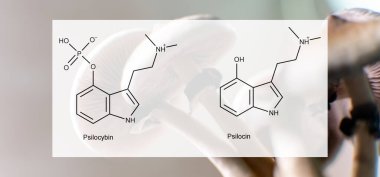 Psilosibin ve psilosinin insanların psikolojik ve fiziksel sağlığı üzerindeki tıbbi etkileri. Psilosibin mantarlarının eğlence amaçlı kullanımının yasallaştırılması