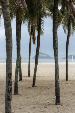 Brezilya, Rio de Janeiro 'daki covid-19 salgını sırasında Copacabana sahilindeki palmiye ağaçlarına bakın